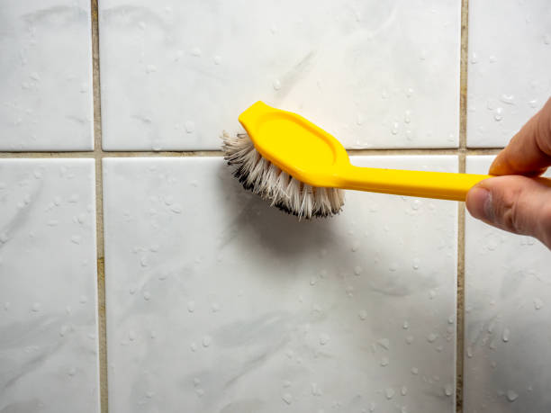 Best Local Mold Removal Service  in Tignall, GA