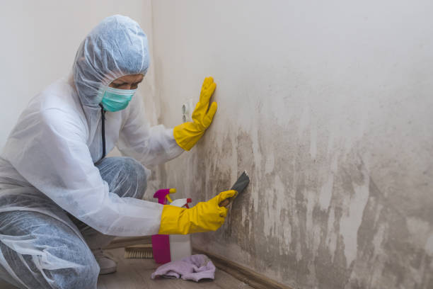 Best Residential Mold Removal  in Tignall, GA