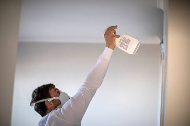 Best Emergency Mold Removal  in Tignall, GA