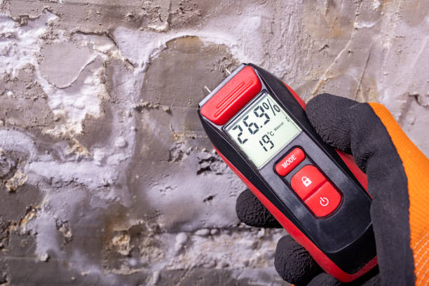 Best Mold Testing  in Tignall, GA