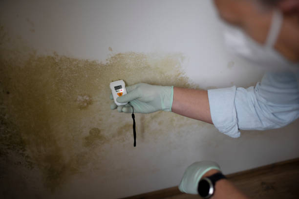 Best Home Mold Removal  in Tignall, GA