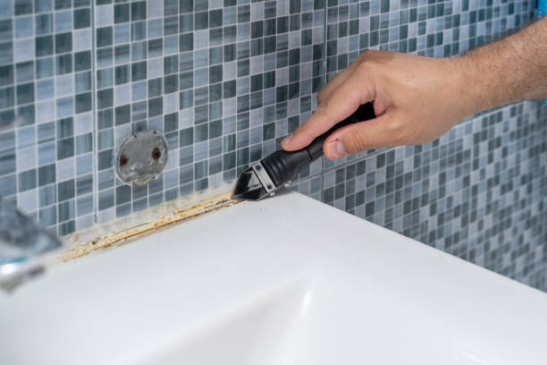 Best Best Mold Removal Companies  in Tignall, GA