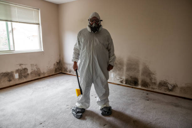 Best Certified Mold Removal  in Tignall, GA