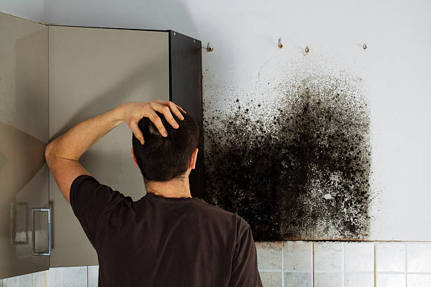 Best Toxic Mold Removal  in Tignall, GA